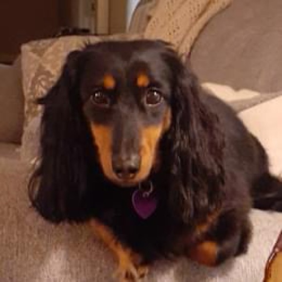 Meet your Posher, Janet - Picture 1 of 1